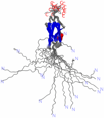 Image NMR Structure - all models