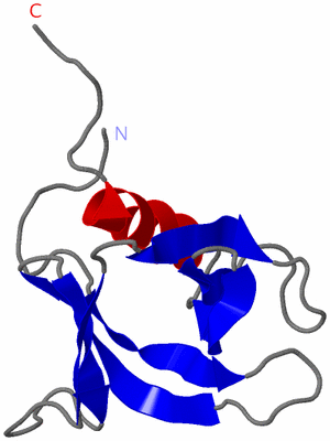 Image NMR Structure - model 1