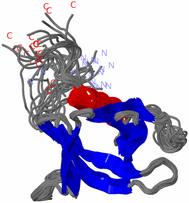 Image NMR Structure - all models