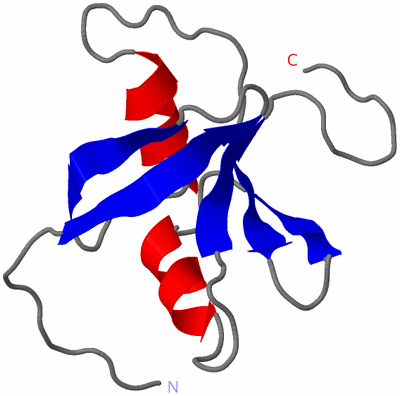 Image NMR Structure - model 1