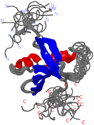 Image NMR Structure - all models