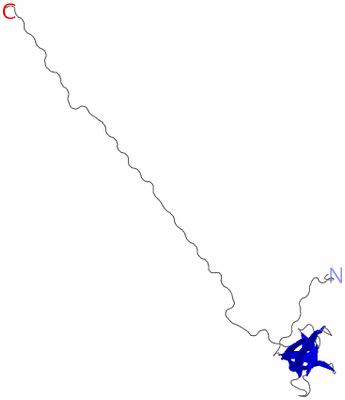 Image NMR Structure - model 1