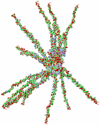 Image NMR Structure - all models