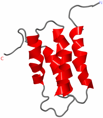 Image NMR Structure - model 1