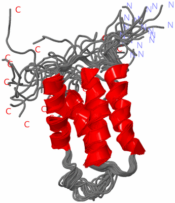 Image NMR Structure - all models