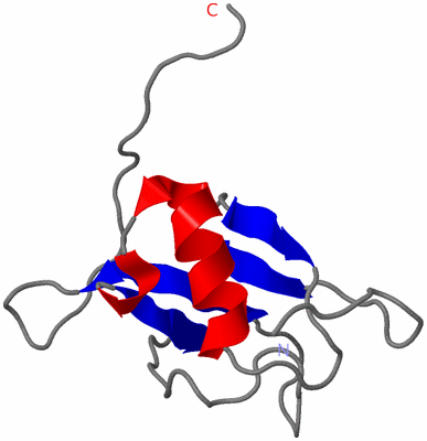 Image NMR Structure - model 1