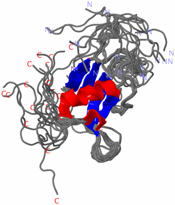 Image NMR Structure - all models