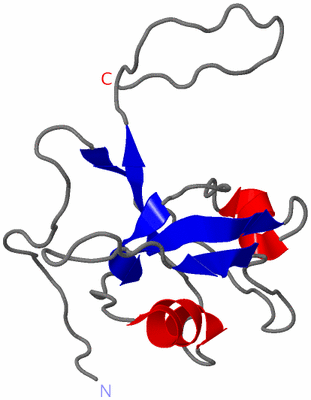 Image NMR Structure - model 1