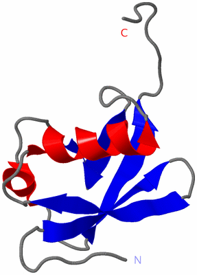 Image NMR Structure - model 1