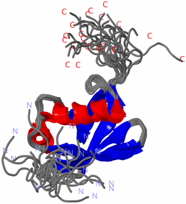 Image NMR Structure - all models