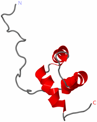 Image NMR Structure - model 1