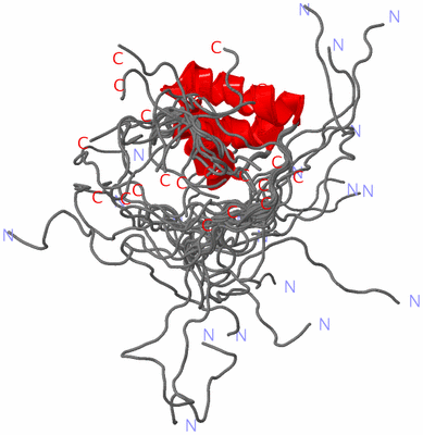 Image NMR Structure - all models