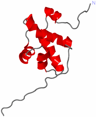 Image NMR Structure - model 1