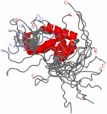 Image NMR Structure - all models