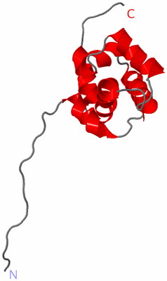 Image NMR Structure - model 1