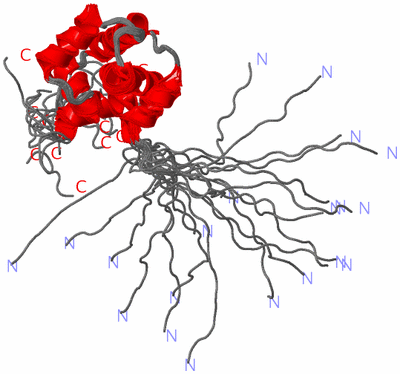 Image NMR Structure - all models