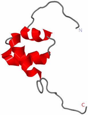 Image NMR Structure - model 1