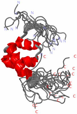 Image NMR Structure - all models