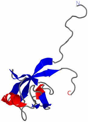 Image NMR Structure - model 1