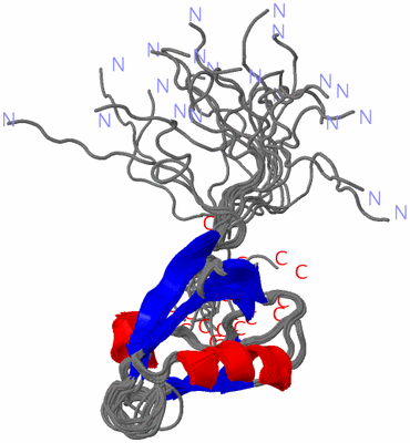 Image NMR Structure - all models