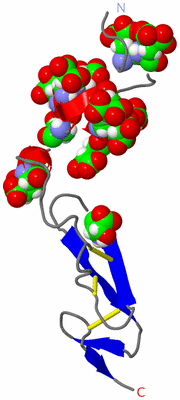 Image NMR Structure - model 1