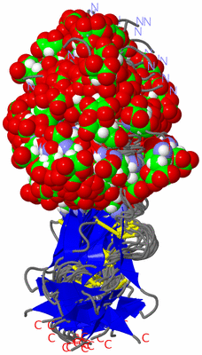 Image NMR Structure - all models