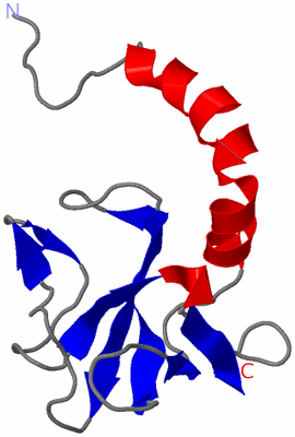 Image NMR Structure - model 1