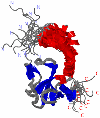 Image NMR Structure - all models