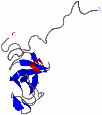 Image NMR Structure - model 1