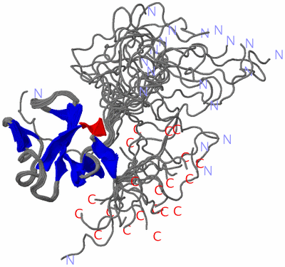Image NMR Structure - all models