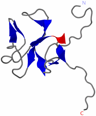 Image NMR Structure - model 1
