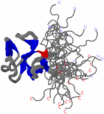 Image NMR Structure - all models