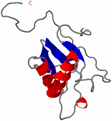 Image NMR Structure - model 1