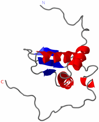 Image NMR Structure - model 1