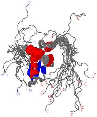 Image NMR Structure - all models