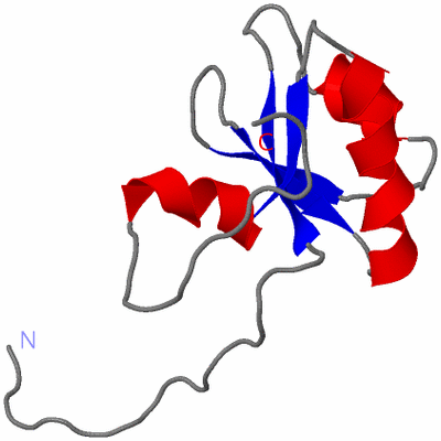 Image NMR Structure - model 1