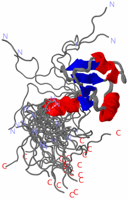 Image NMR Structure - all models