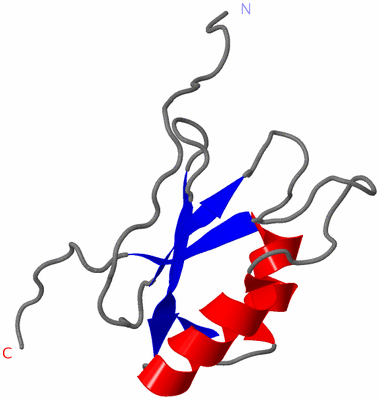 Image NMR Structure - model 1