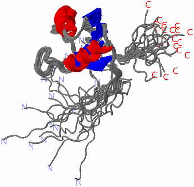 Image NMR Structure - all models