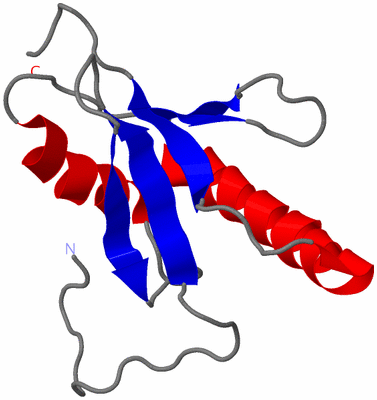 Image NMR Structure - model 1