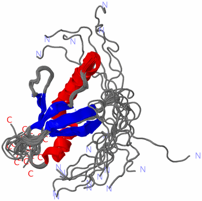 Image NMR Structure - all models
