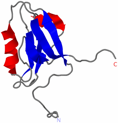 Image NMR Structure - model 1