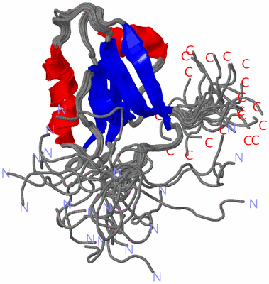 Image NMR Structure - all models