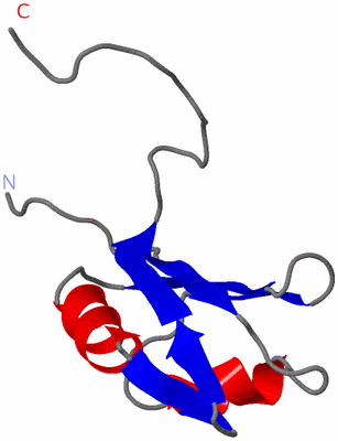 Image NMR Structure - model 1