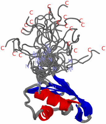 Image NMR Structure - all models