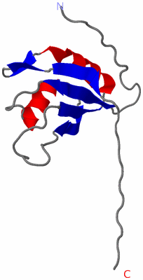 Image NMR Structure - model 1