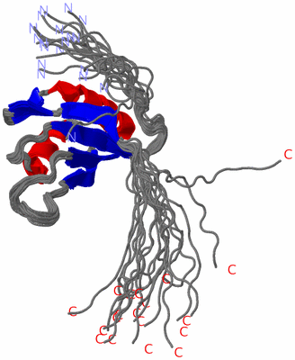 Image NMR Structure - all models