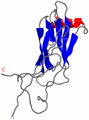 Image NMR Structure - model 1