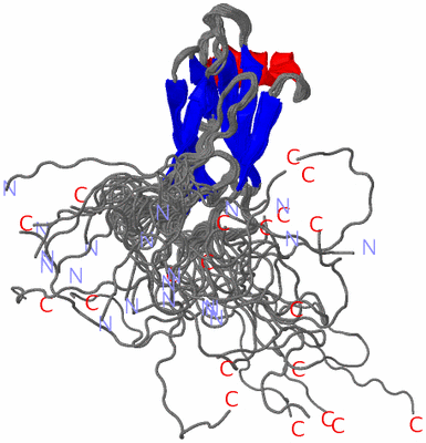 Image NMR Structure - all models