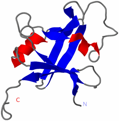 Image NMR Structure - model 1